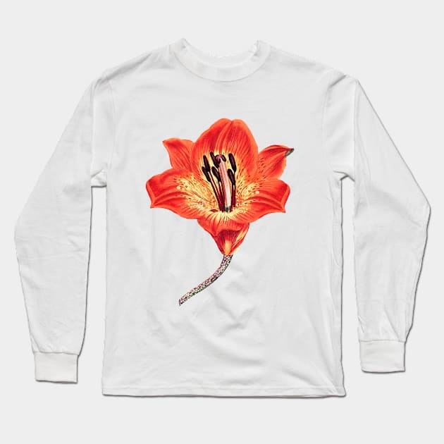 Lily Flower Long Sleeve T-Shirt by Mako Design 